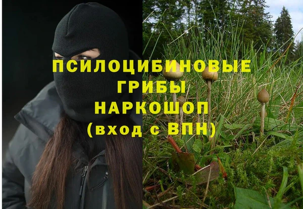 круглые Каменногорск