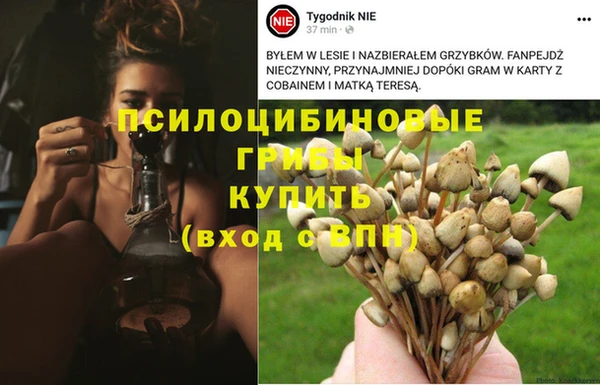круглые Каменногорск